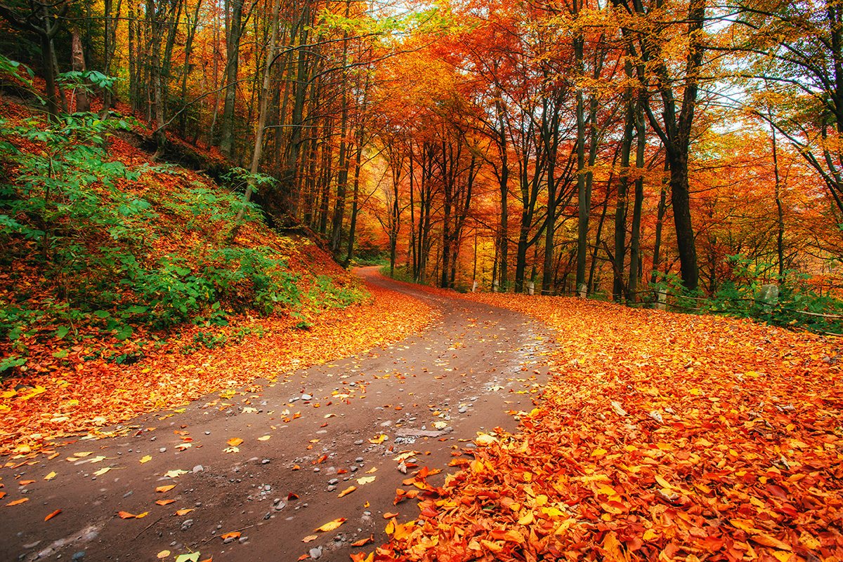 Preparing for a Busy Fall at Your Car Wash