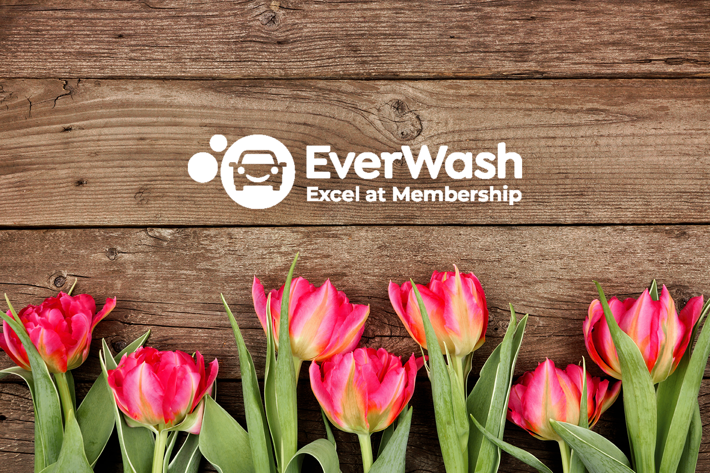 Car Wash Marketing Tips for the Month of May
