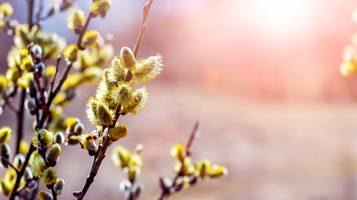 Turning April Traffic Into Long-Term Members